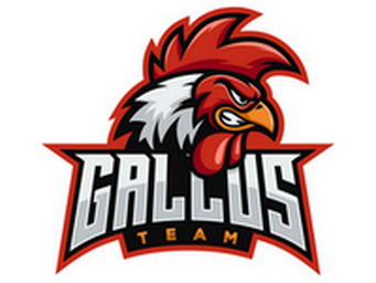 Gallus Vets