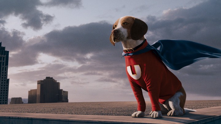 The uNderdogs