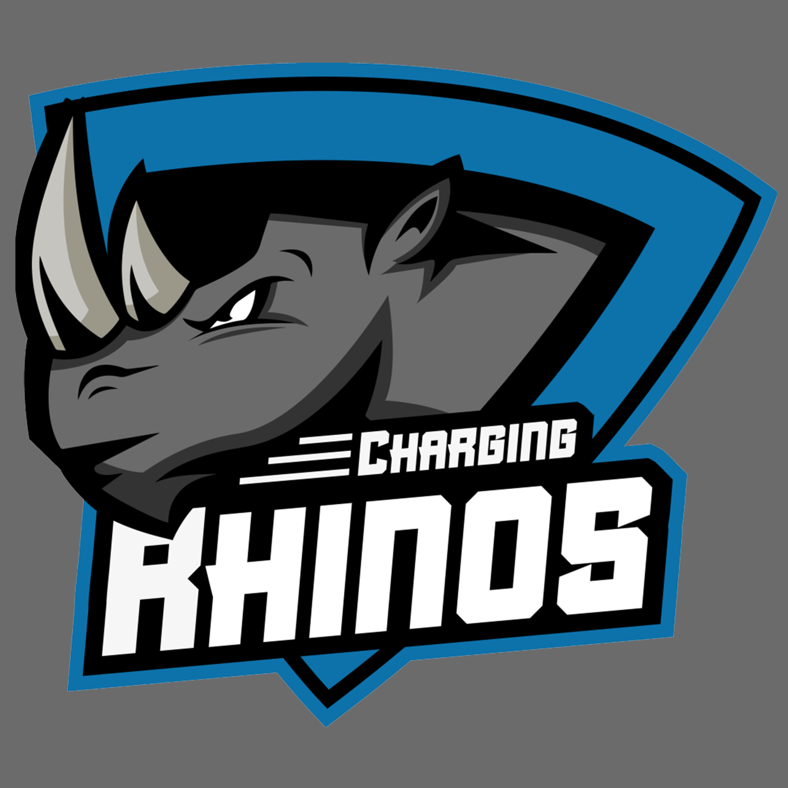 Charging Rhinos