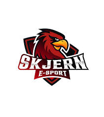 Skjernpc5