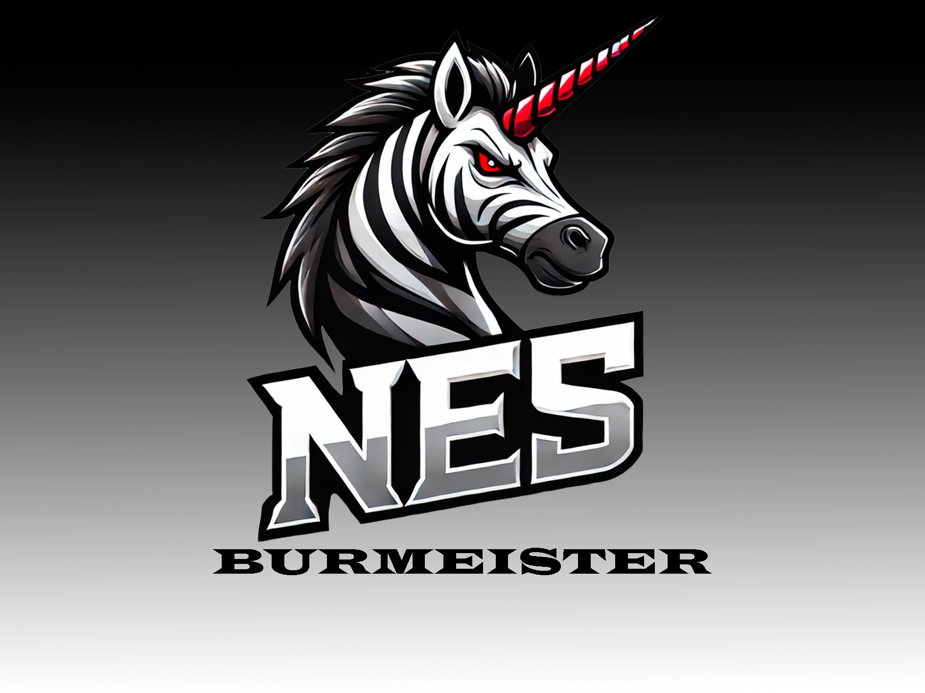 Burmeister