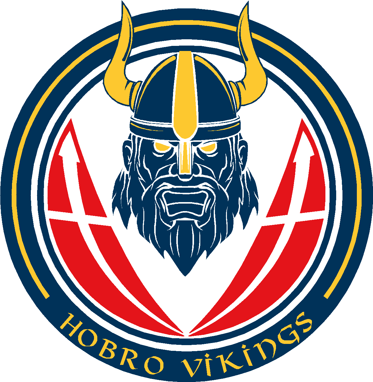 Hobro Søndre Skole - Vikings