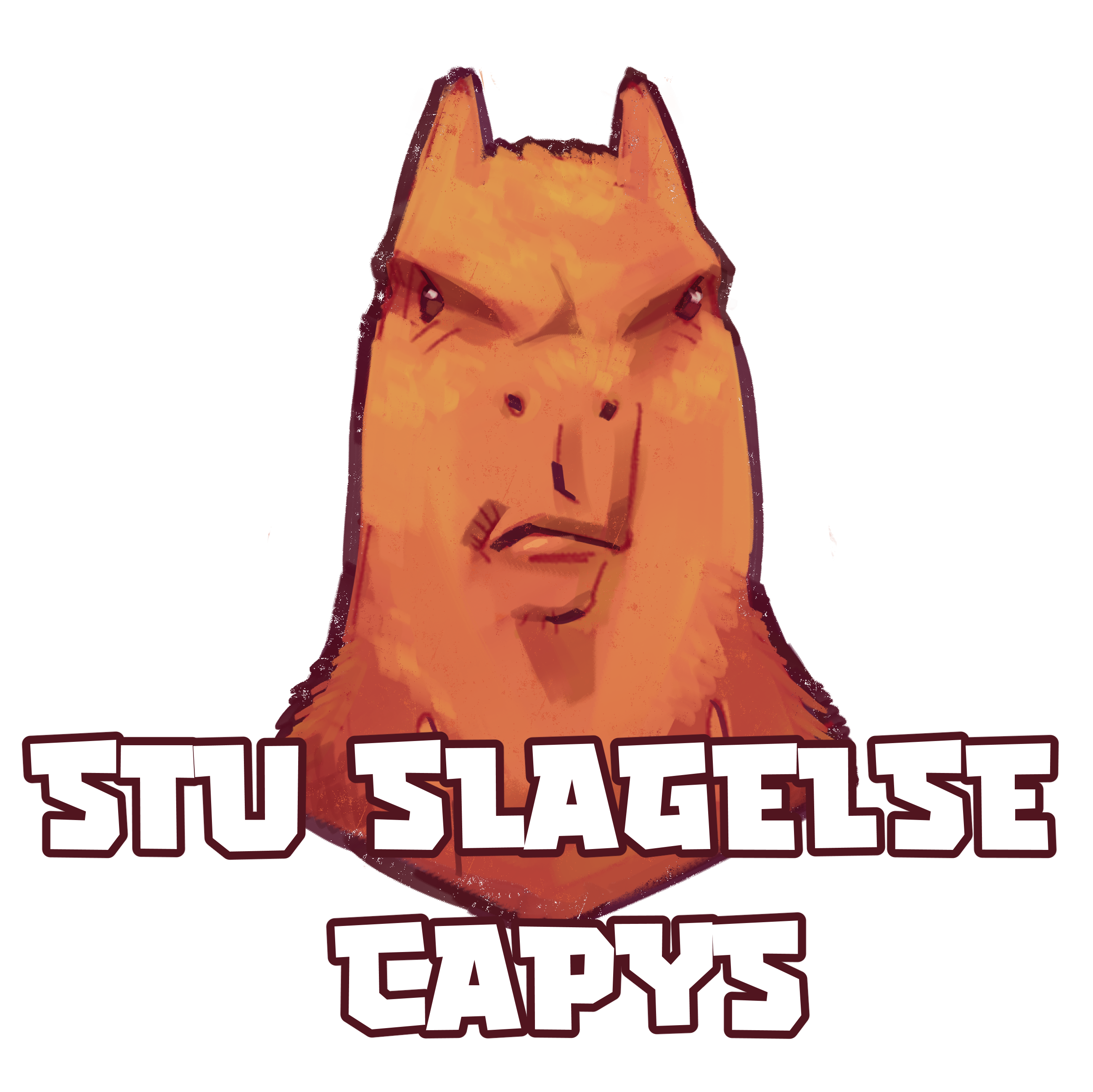 SSC | STU Slagelse Capys