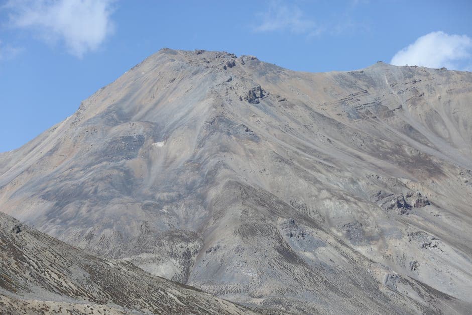 Intens Fortnite-kamp præget af taktisk spil og overraskende Bush-strategier